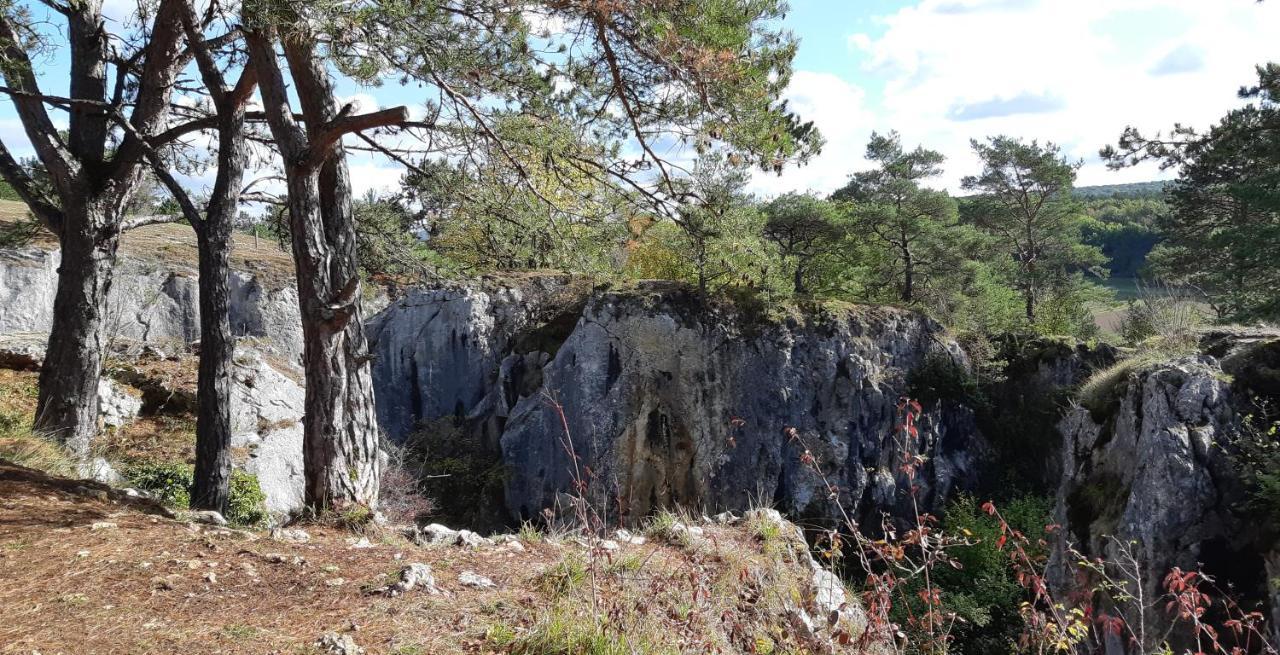 Les Gabelous - Micro-gites - Viroinval * Dourbes
